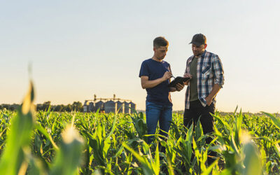 Como as ferramentas digitais estão ajudando a mitigar os desafios da produção agrícola?